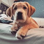 Annie Mercer - @anne__mercer - Instagram