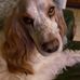 Annie Michel - Facebook