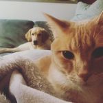 Mouse & Annie Middleton - @mouseandannie - Instagram