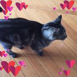 Annie Milne - @milneannie - Instagram