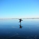 Annie Milne - @puppetannie - Instagram