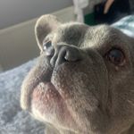 Annie Mooney - @boobear999999 - Instagram