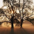Annie Morand - Facebook