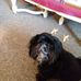 Annie Moss Jennings - Facebook