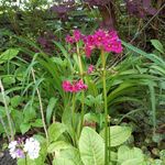 Annie Muller - @anniemuller2005 - Instagram