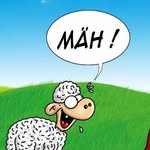 Anne Münch - @anmuefg - Instagram