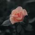 Annie Munoz - Facebook