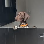 Annie Munro - @abopunk81 - Instagram
