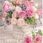 Anne Murrell - @anneandbeau2012 - Instagram
