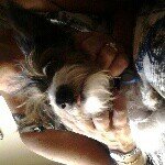 @grannie_annie_nagy - Instagram