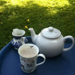 Annie Naylor - @naylor3931 - Instagram