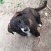 Annie Naylor - Facebook