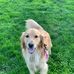 Annie Freckles Neff - Facebook