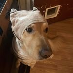 Annie Freckles Neff - @anni3_n3ff - Instagram