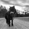 𝓐𝓷𝓷𝓲𝓮 𝓝𝓲𝓵𝓼𝓼𝓸𝓷🤍 - @annie.nilsson80 - TikTok