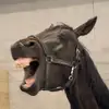 Annie - @annie_nilsson - TikTok