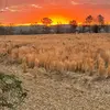 Annie Nipper - @annie.nipper - TikTok