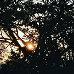 Anne nonymous - @i_am_a_photographer561nature - Instagram