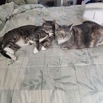 Annie Nonymous - Facebook