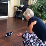 Anne Nowell - @mangocottage518 - Instagram