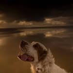 Annie Brogden - @anniebrogdenphotography - Instagram