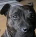 Annie Ogden - Facebook