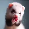 Annie Ojeda - @annie.ojeda1 - TikTok