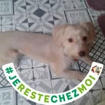 Annette Ostrowski Maos - @ann_ette77 - Instagram