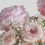 Annie Pak - @chun.lo.5891 - Instagram
