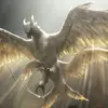 Thunderbird - @annieparsons975 - TikTok