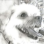 Annie Patterson - @annie.patterson.921 - Instagram