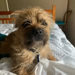 Annie Pearce - @annielovesthegarden - Instagram
