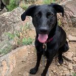 Annie Peck - @annie_peck_the_adventure_lab - Instagram