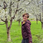 Annie Peng - Facebook