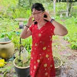 Annie Peng - @annie.peng.7165 - Instagram