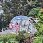 Annie Tan Yee Peng - @t_annie63 - Instagram