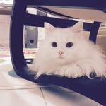 Annie Peralta - @annie13472 - Instagram