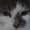 Annie Petersen - @heyimboredhbu69 - TikTok