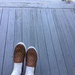 Annie Plumb - @pesterchester - Instagram