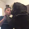 Annie Ramsay - @anniesgay.spam - TikTok