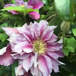 Anne Rawlings - @annemarierawlings - Instagram