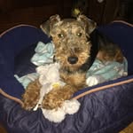 Anne Rawlings - @anne.rawlings - Instagram