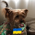 Annie Rawlings - @annie.rawlings.12 - Instagram