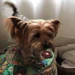Annie Rawlings - Facebook