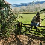 Annie Rees - @annierees_26 - Instagram