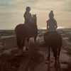 Annie Rees 🐴🐴🐎🚜🚜🐄🌾 - @annie_rees23 - TikTok