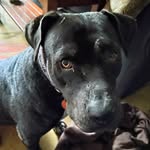 Annie Richardson - @annierichardson2985 - Instagram
