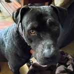 Annie Richardson - Facebook