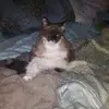 Annie Rivera - @annie.rivera5 - TikTok