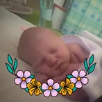 Annie Royal - Facebook